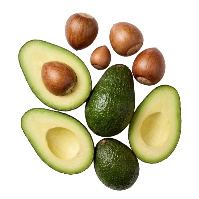 Jojoba + Vitamin E
