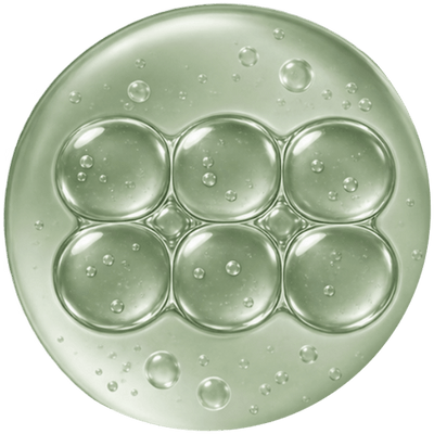 Rice-Derived Ceramides
